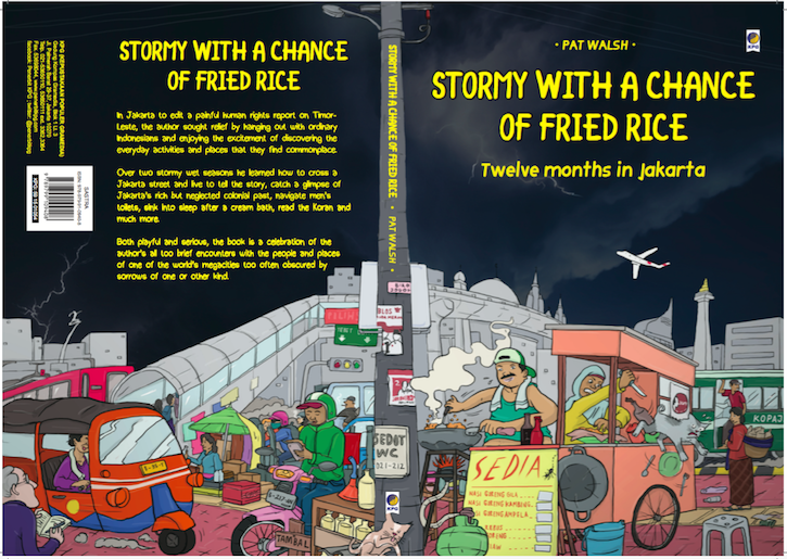 Cover Image - Stormy with a Chance of Fried Rice