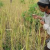 Environmental challenges facing Indonesia’s villages
