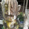 Using old resources in new ways