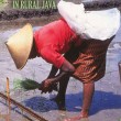 Review: Power, change, and gender relations in rural Java