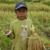 Food for the future