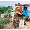 The trouble with oil palm