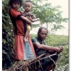 Land and social justice