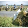 Land titles do not equal agrarian reform