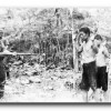 The killings of 1965-66