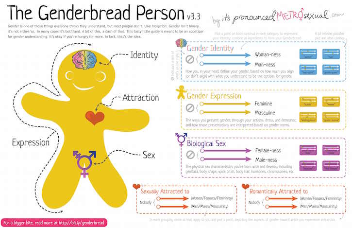 Arus Pelangi use the image of a ‘genderbread person’ to raise awareness of the complexities of gender identity - Arus Pelangi