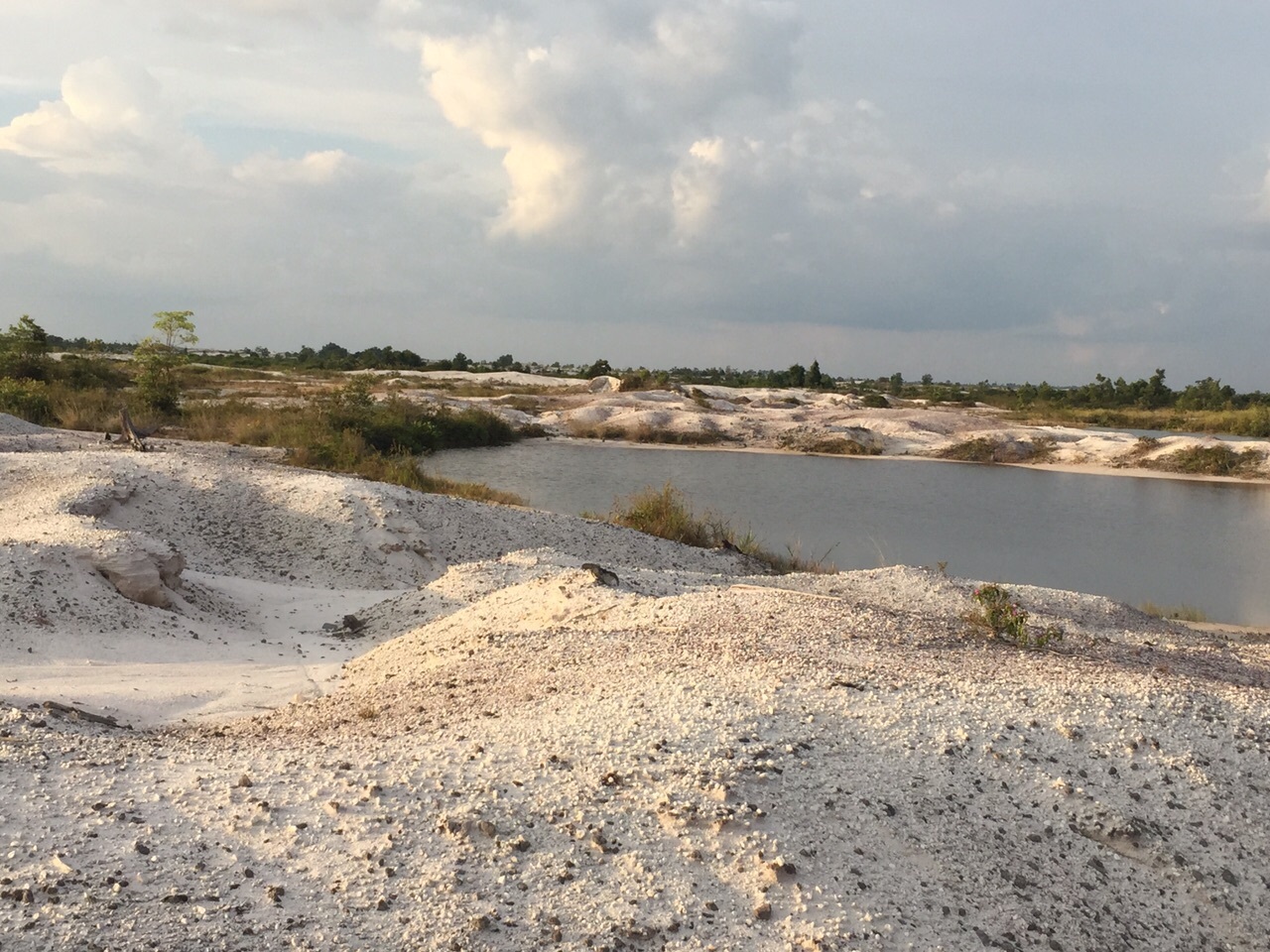 A landscape of barren, pitted ground.