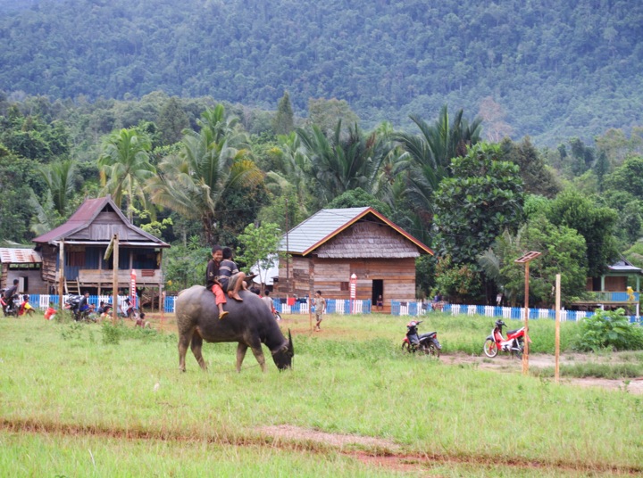 Two children ride a buffalo across a grass field, smiling at the camera.