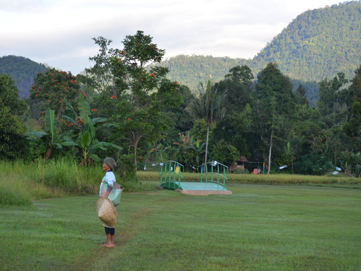 An elderly woman stands in a grass field in a rural dwelling, looking to the side.