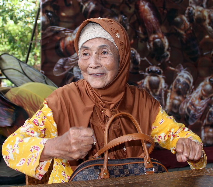 Is Indonesia aging?