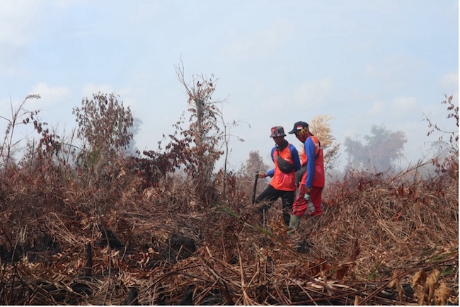 Local fire brigade group inspecting the burning sites in Tumbang Bulan/Hanina Naura Fadhila