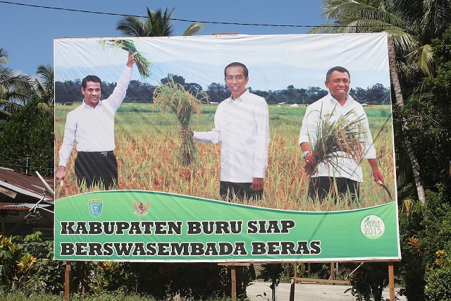 “Buru district is ready to become self-sufficient in rice”