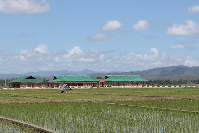The rice fields Jokowi visited in May 2015