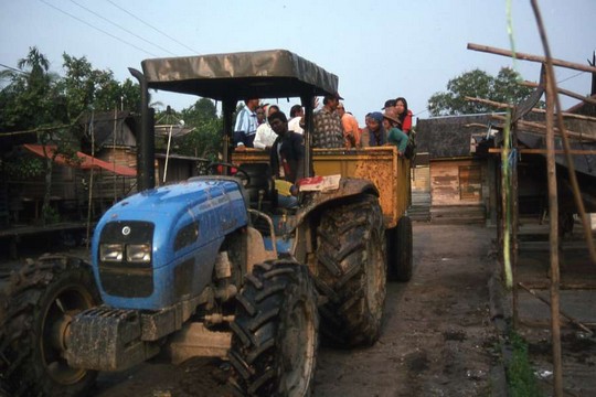 Confronting oil palm plantations