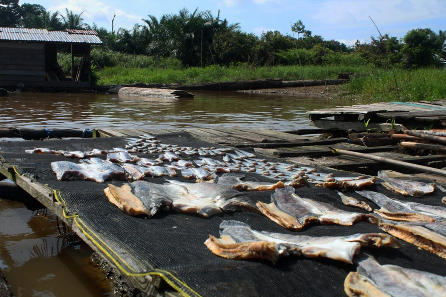 13 dried fish