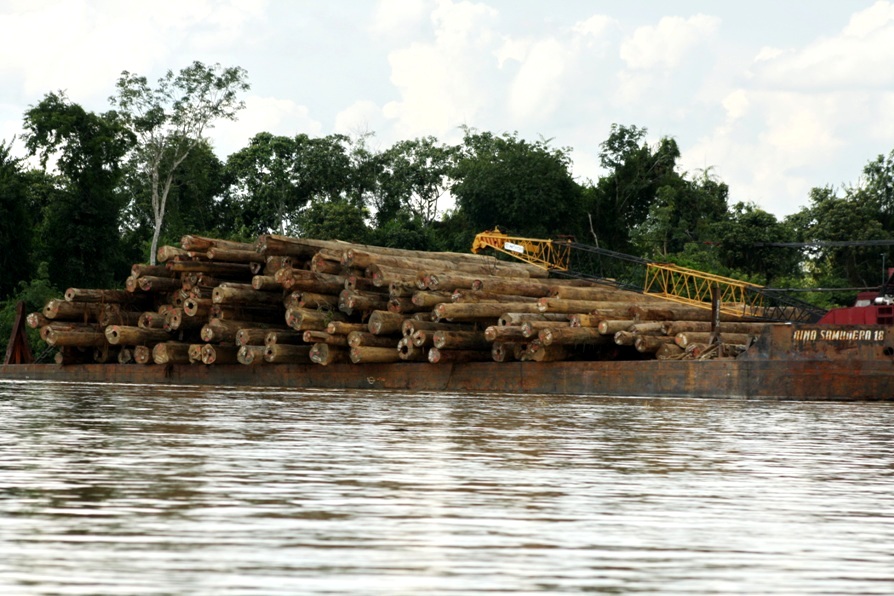 7 hundreds of logs