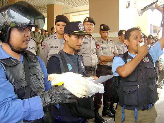 Penyerahan_Ayam_Sayur_Ke_DPRD_Batam.jpg