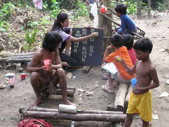 Jungle Schools