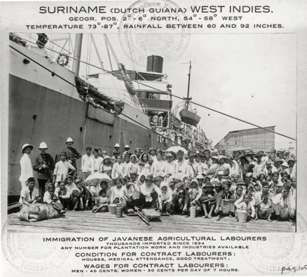 The Javanese of Suriname