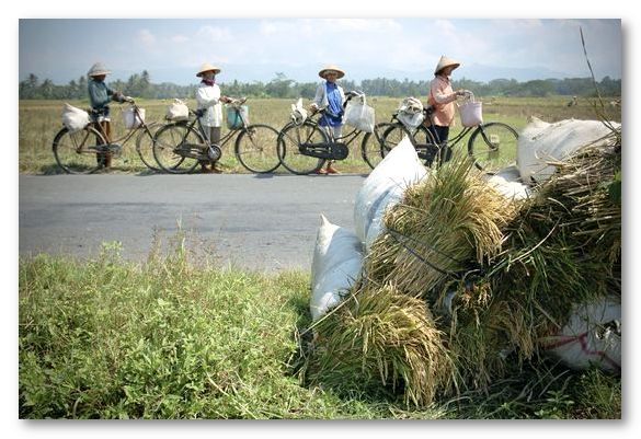 Land titles do not equal agrarian reform